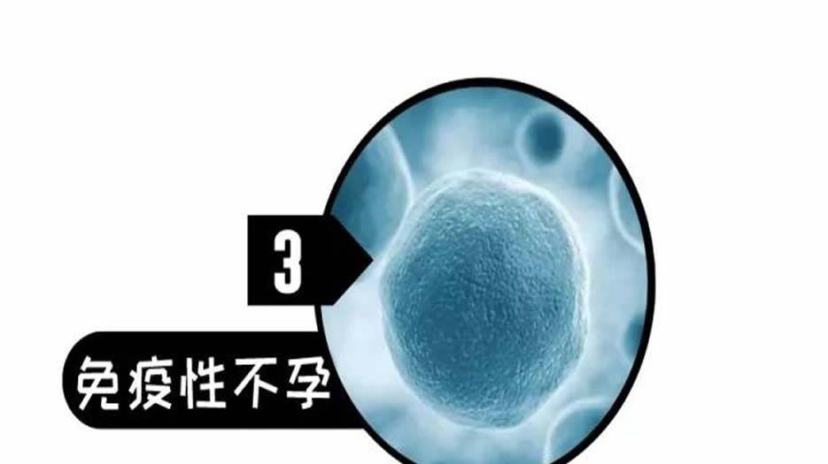 <a style='border-bottom:1px dashed #F00;color:#3a7fde;cursor:pointer;' href='https://www.yi-yun-tong.com/article-4705.html'>免疫性不孕</a>.jpg