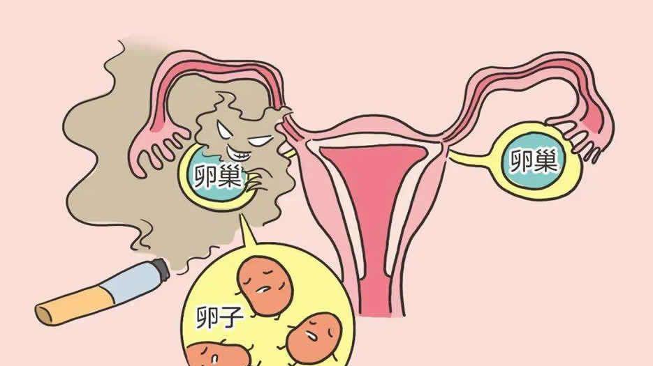 不良嗜好也会引起卵巢早衰