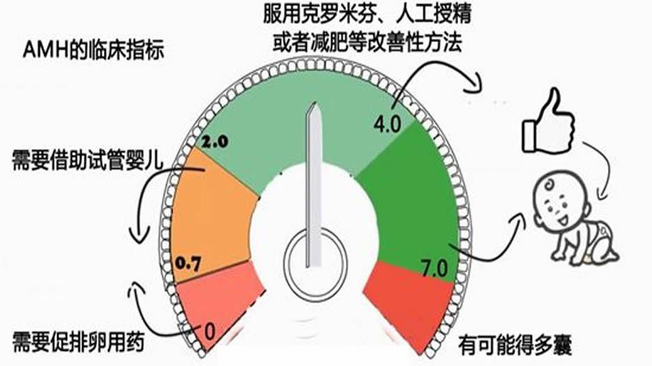 数值