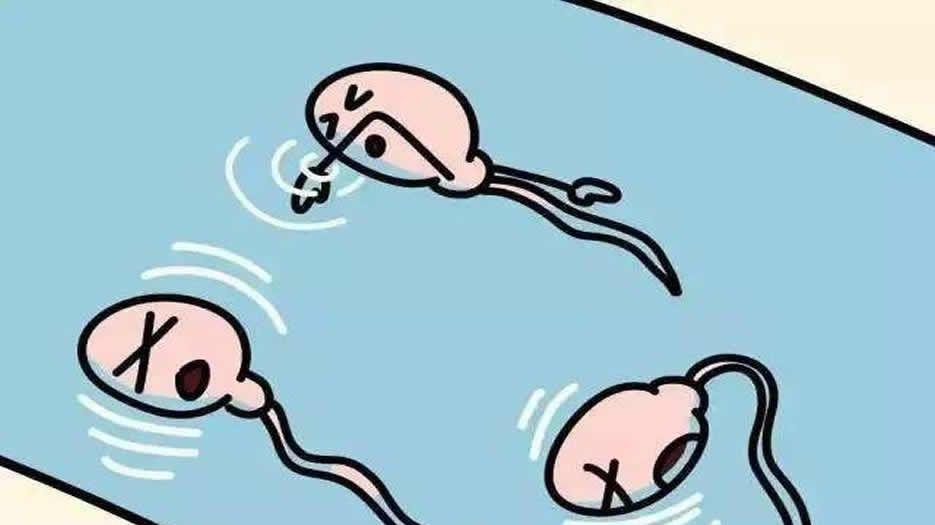 精子