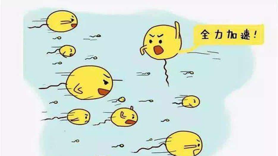 精子
