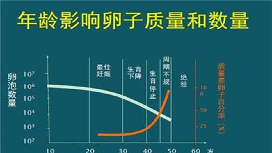数值