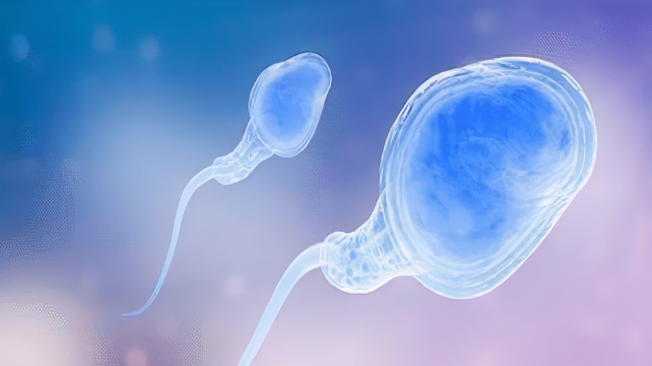 做试管婴儿试管婴儿需要男方精子健康吗
