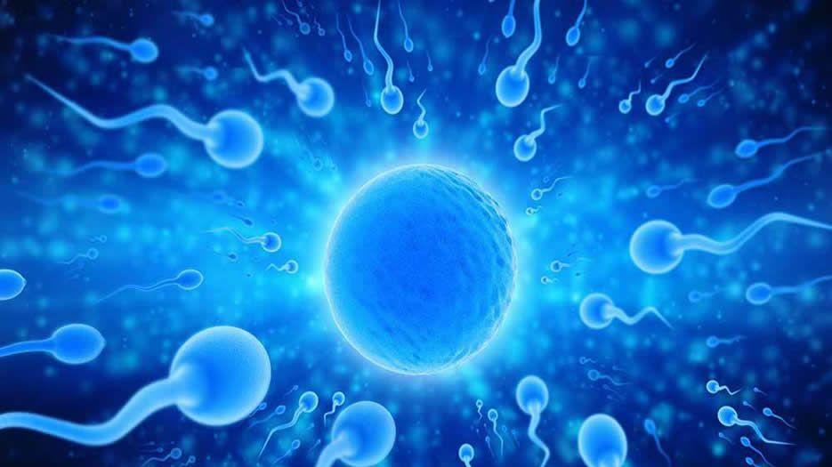 做试管婴儿试管婴儿需要男方精子健康吗