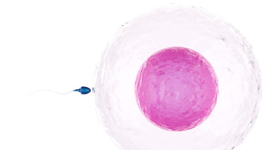 二代试管会剔除畸形精子吗？专家解读精子畸形做第几代试管 (10).jpg