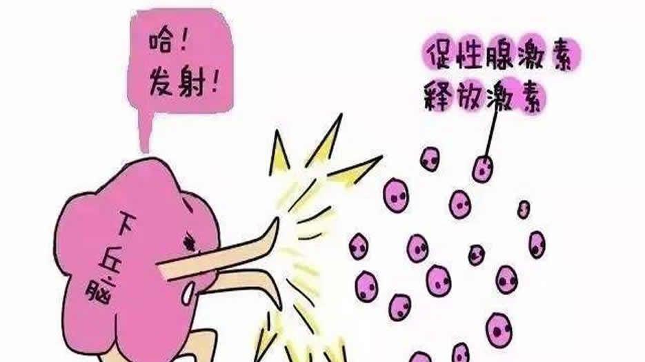 FSH高的原因