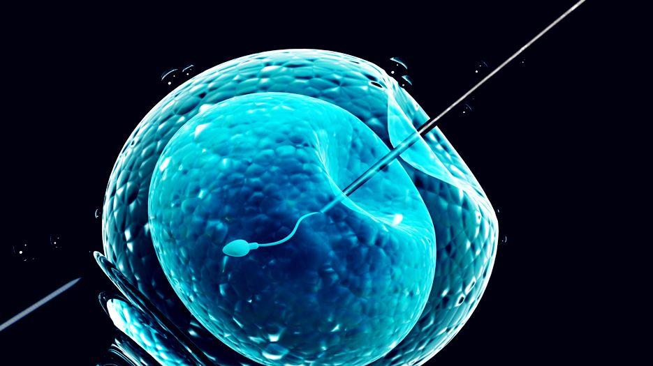 精子畸形率98可以试管吗？专家解读试管精子畸形率高怎么办 (12).jpg