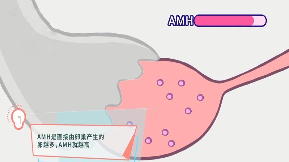 <a style='border-bottom:1px dashed #F00;color:#3a7fde;cursor:pointer;' href='https://www.yi-yun-tong.com/tag/amh.html'>AMH</a>值的图片.jpg