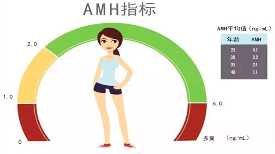 AMH减低是不是卵子变少？amh值代表数量还是质量？听听专家怎么说 (6).jpg