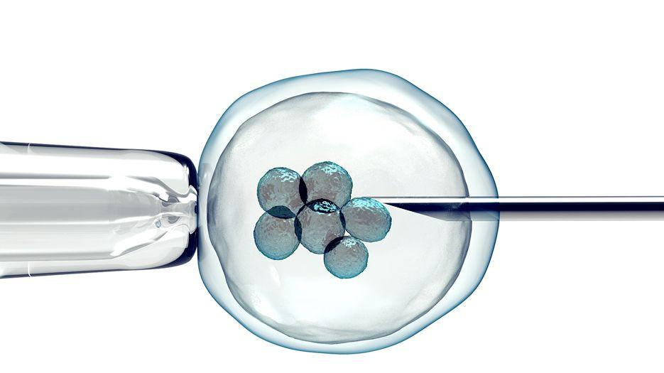 精子畸形高一定要做试管婴儿吗？精子畸形率高该人授还是试管？听听专家怎么说 (9).jpg