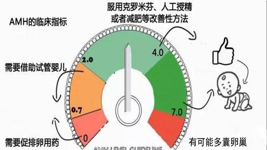 amh怎么怀孕.jpeg