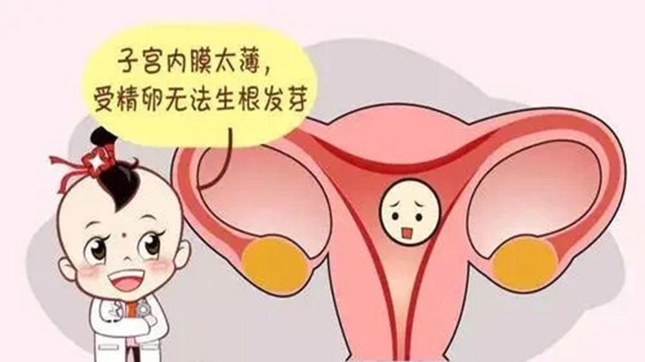 子宫内膜.webp.jpg