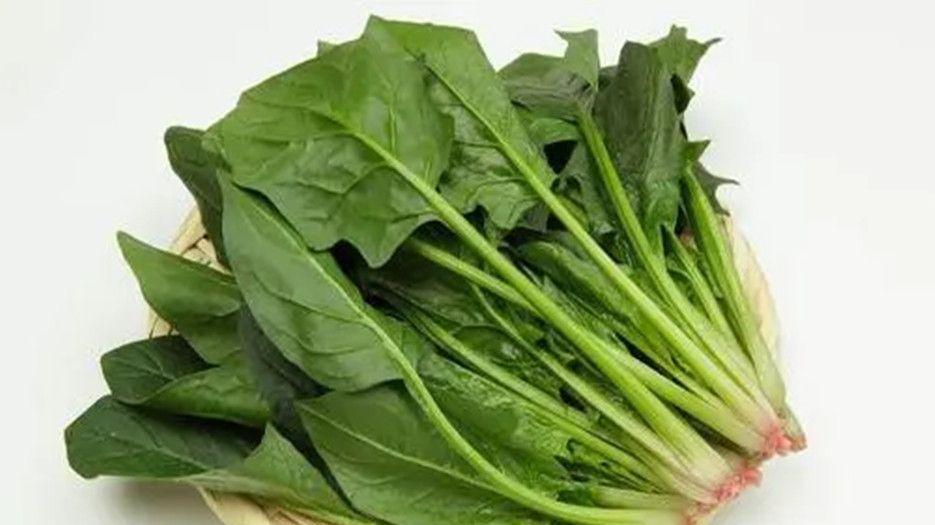 菠菜_副本.jpg