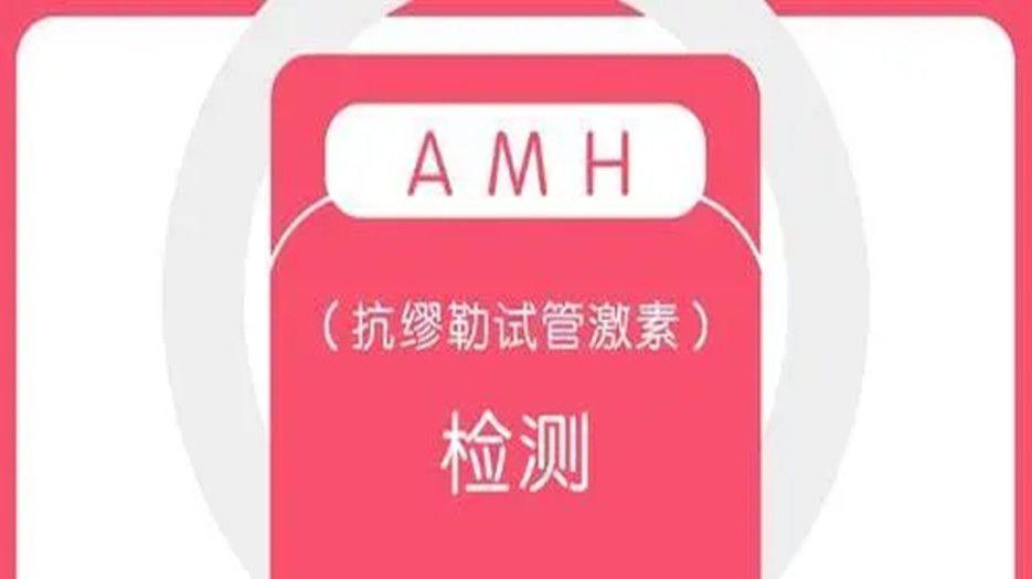amh.._副本.jpg