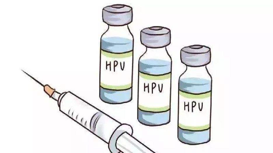 hpv高危型