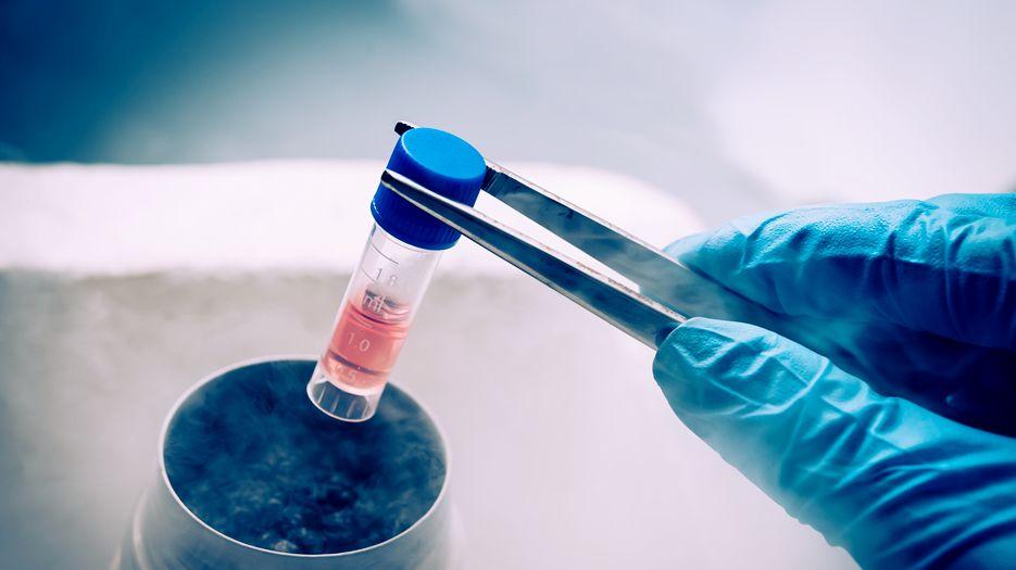 试管婴儿移植没有怀孕是什么原因？专家解读试管婴儿移植失败的原因助好孕 (10).jpg