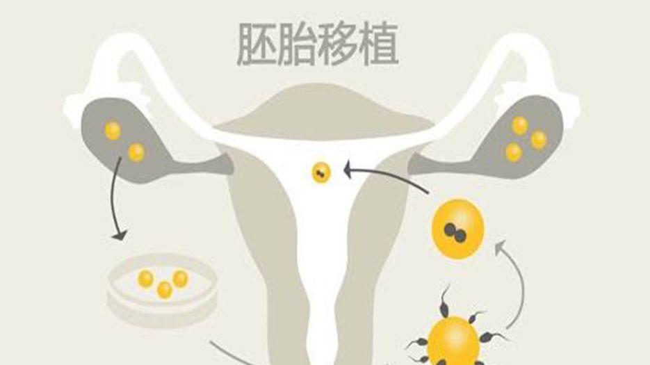 胚胎<a style='border-bottom:1px dashed #F00;color:#3a7fde;cursor:pointer;' href='https://www.yi-yun-tong.com/tag/sgyz.html'>移植</a>.jpg