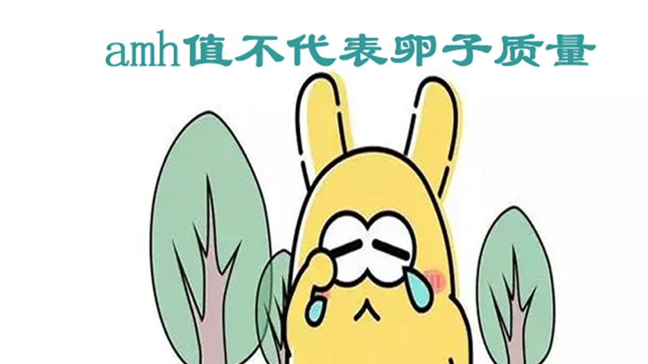 amh_副本.png