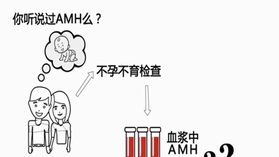 amh.._副本_副本.jpg