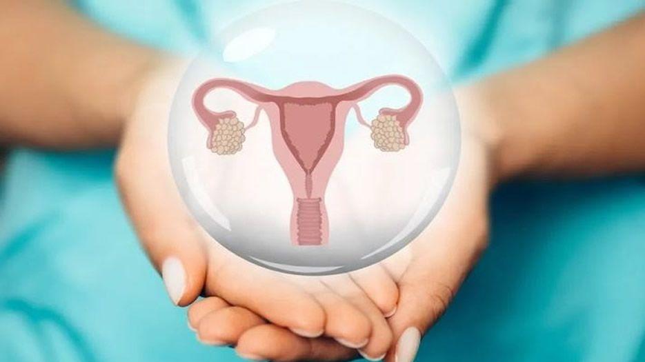 女性FSH大于多少算卵巢早衰