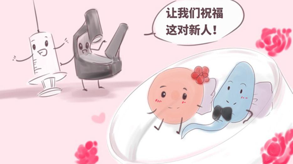 受精卵.jpg