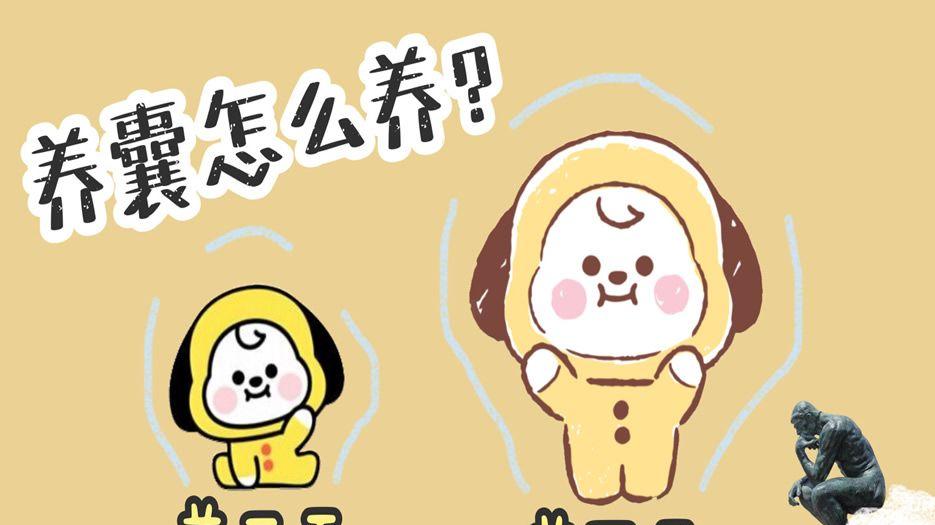 注重五天养囊