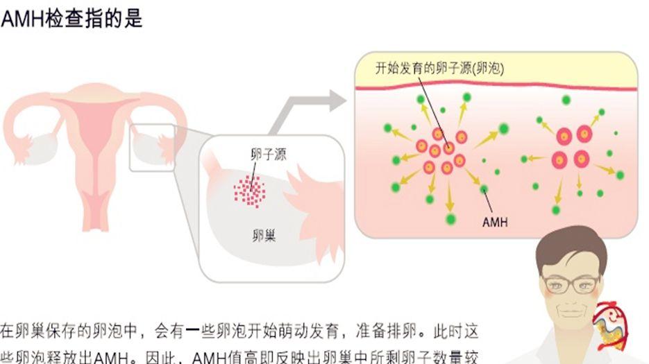 amh低于0.06还有卵吗试管几率大吗？专家解读<a style='border-bottom:1px dashed #F00;color:#3a7fde;cursor:pointer;' href='https://www.yi-yun-tong.com/article-665.html'>试管婴儿</a>amh多少能做 (4).jpg