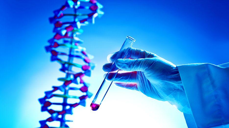 精子畸形率高做试管成功率高吗？专家解读精子畸形率高影响试管成功率吗 (9).jpg