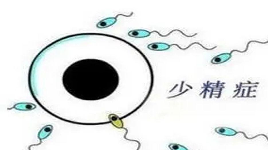 u=3947104081,1783051061&fm=26&fmt=auto.webp.jpg