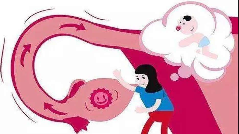 示意图