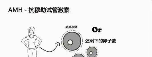 u=2996449910,1350166533&fm=26&fmt=auto.webp.jpg