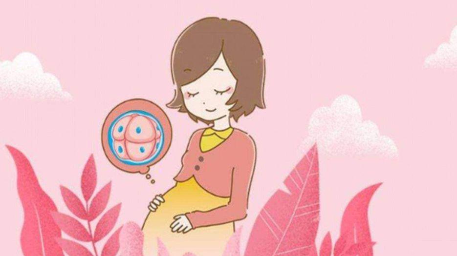 单身女性做试管婴儿的条件.jpg