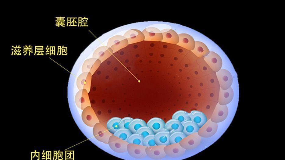 src=http___img.mp.sohu.com_q_mini,c_zoom,w_640_upload_20170807_d596490e631646a299e2d9efab28e18e_th.jpg&refer=http___img.mp.sohu.jpg