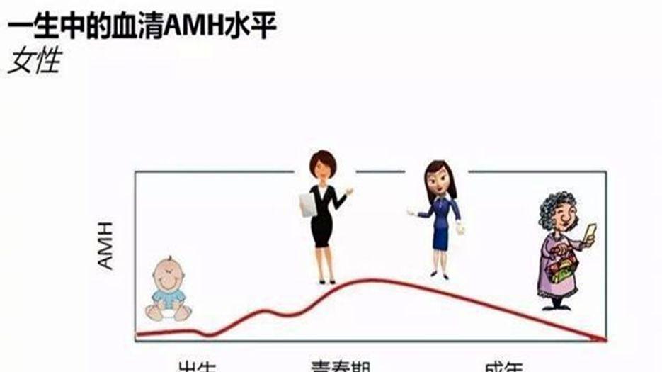 amh0.21还有多少个卵泡？专家解读amh0.21的卵泡数量还能怀孕吗 (9).jpg