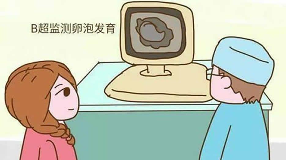 注意卵泡监测