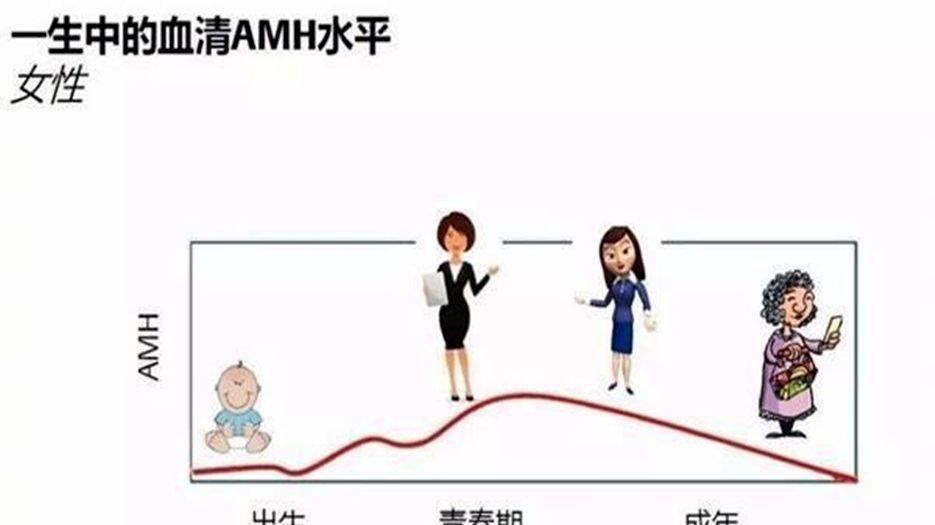 amh值0.77做试管的话怀孕几率有多大？专家解读试管婴儿对amh值的要求 (10).jpg