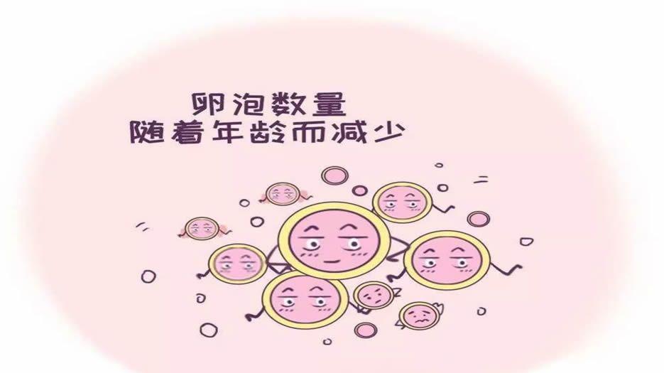 窦卵泡数量