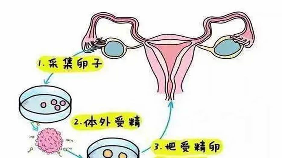 过程