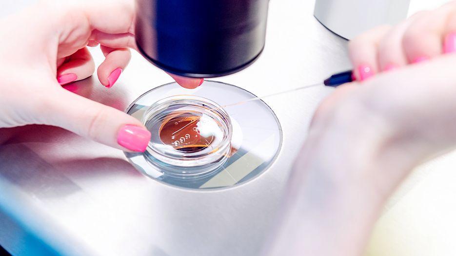 没有卵子的女性能做试管婴儿吗？专家解读试管婴儿试管婴儿助你好孕 (10).jpg