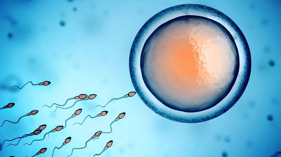 精子畸形可以怀孕生育吗？专家解读精子畸形率高对生育的影响 (7).jpg