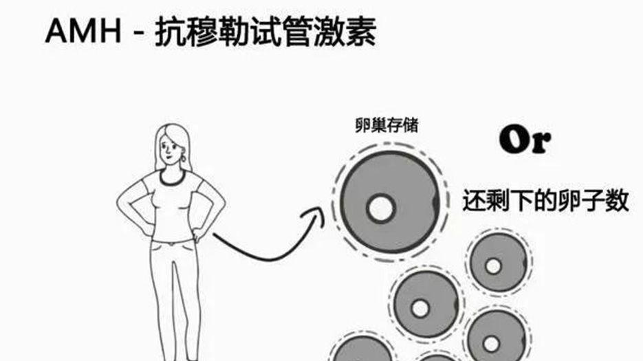 amh值.jpg