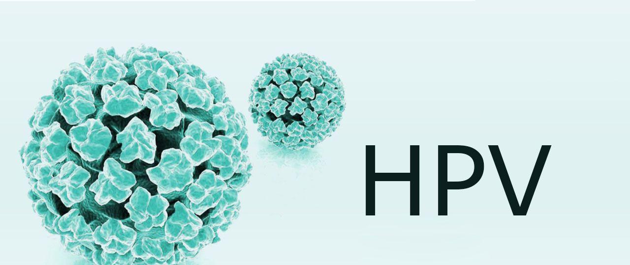HPV.jpg