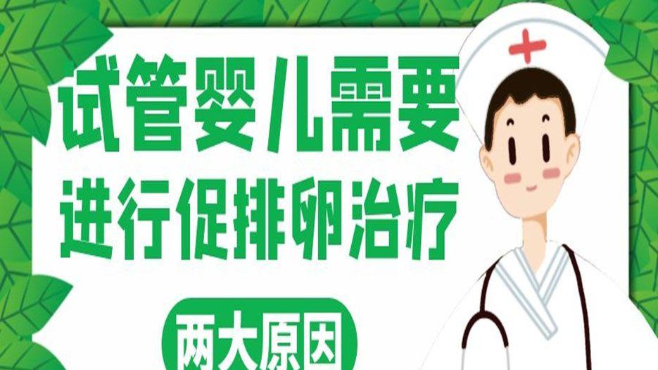 试管婴儿进行促排卵治疗的原因