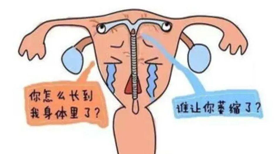 子宫萎缩_副本.jpg