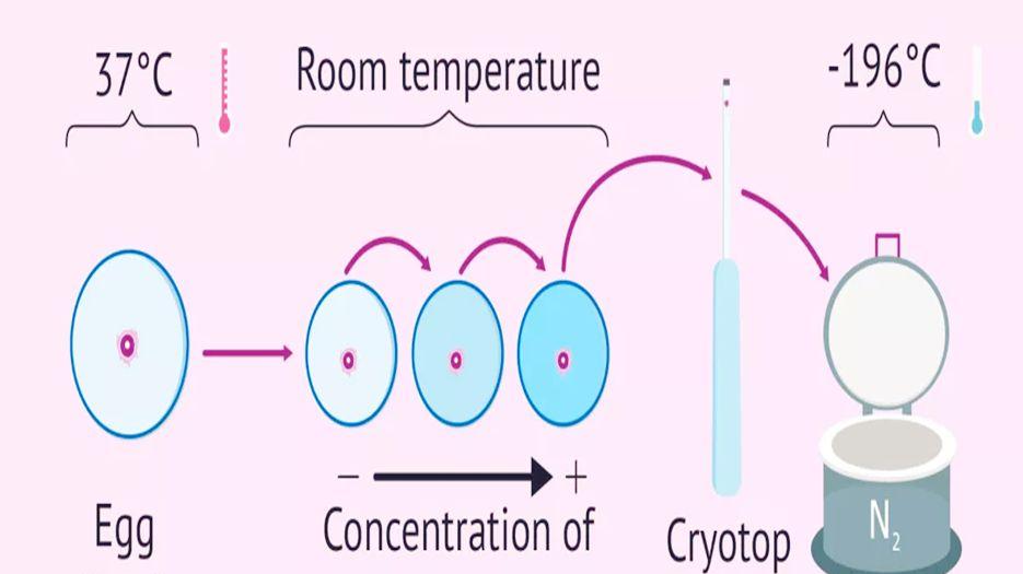 <a style='border-bottom:1px dashed #F00;color:#3a7fde;cursor:pointer;' href='https://www.yi-yun-tong.com/tag/sgyy.html'><a style='border-bottom:1px dashed #F00;color:#3a7fde;cursor:pointer;' href='https://www.yi-yun-tong.com/article-1948.html'>试管婴儿医院</a></a>怎样冷冻胚胎？专家解读试管婴儿冷冻胚胎是怎么回事 (1).jpg