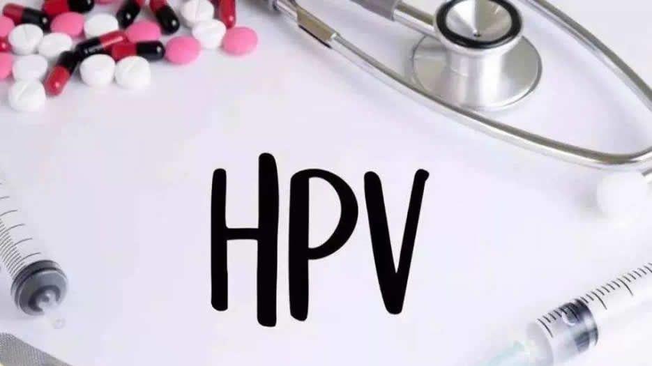 什么是HPV病毒