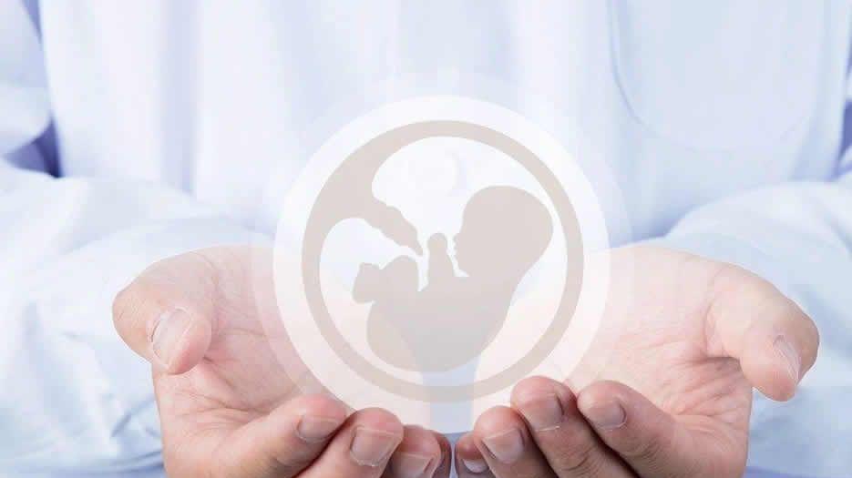 女性绝经了还可以做试管婴儿吗