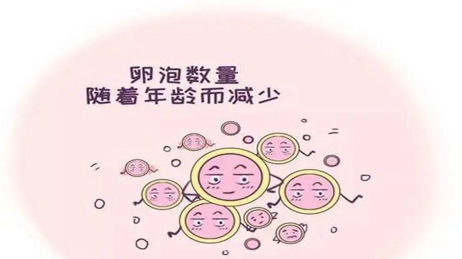 u=1099374415,4066087035&fm=15&fmt=auto.webp.jpg
