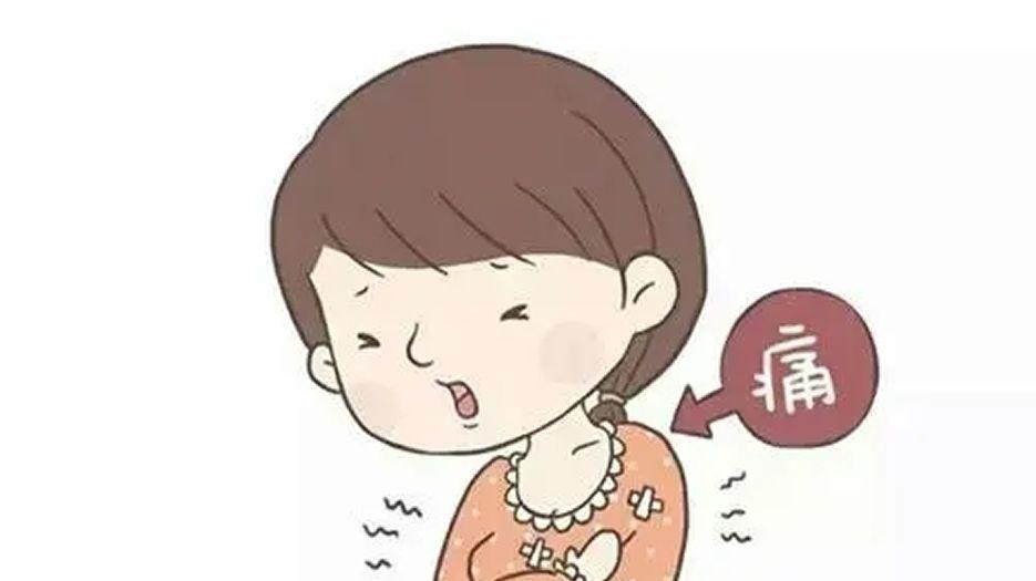 u=336615580,3844573977&fm=26&fmt=auto.webp.jpg