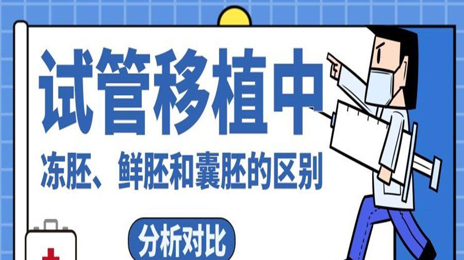 鲜胚囊胚冻胚移植区别